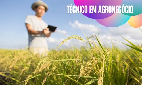 Curso Técnico em Agronegócio na Ejatec.